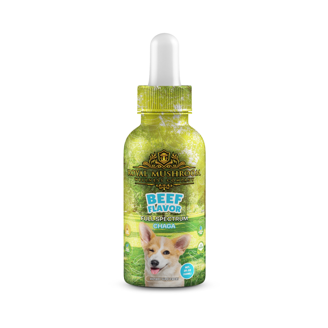 Dogs Tincture Beef Flavor - Chaga - Green Planet