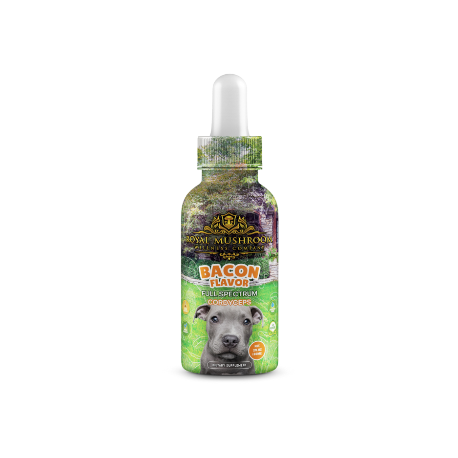 Dogs Tincture Bacon Flavor - Cordyceps - Green Planet