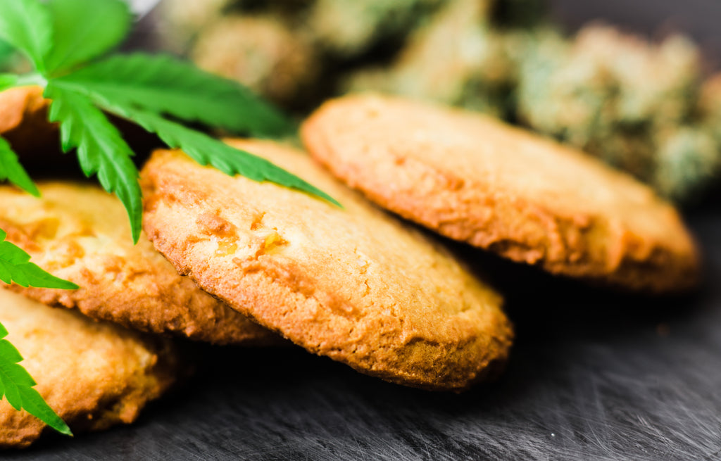 Cooking with CBD: Easy and Delicious Recipes for a Wellness Boost