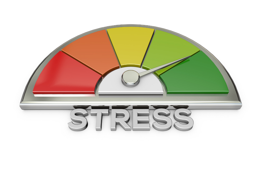 Top 5 Ways to Avoid Stress in the New Year