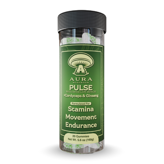PULSE Watermelon Rings  Cordyceps & Ginseng | Aura Mushroom